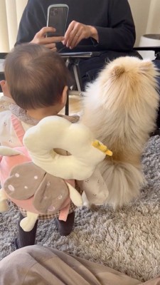 飼い主のスマホを見ようと立ち上がる犬と女の子