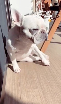 やまわきさんのお見送り⑩