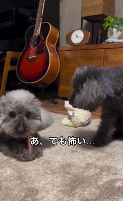 ジジちゃんの圧に負けて…