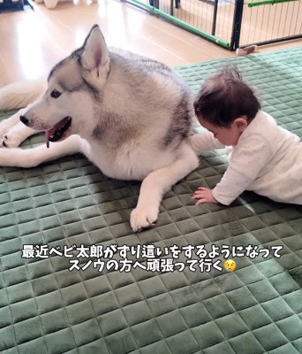 ズリバイ練習中の赤ちゃん