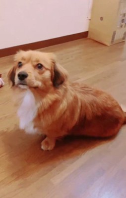 体重は9.8キロに!