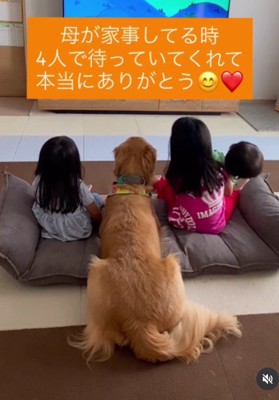並んでテレビを見る4兄妹
