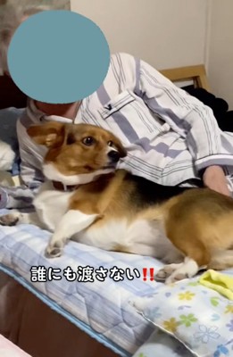 おじいちゃんの横を陣取るさらんちゃん