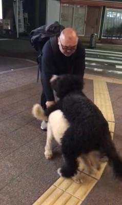 パパさんとプルミちゃん＆バニーちゃんの再会9