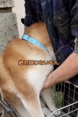 終わらない攻防…！