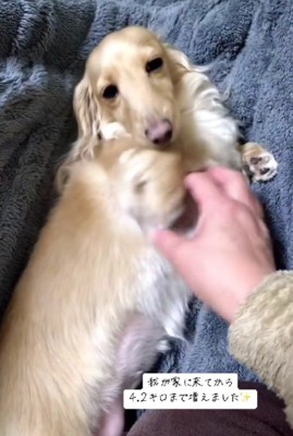 今では4.2キロに!!