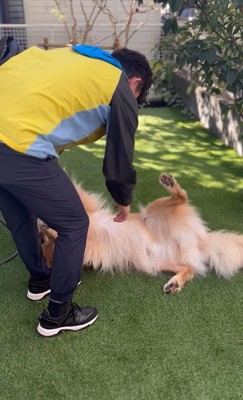 そら君とブリーダーさんの再会6