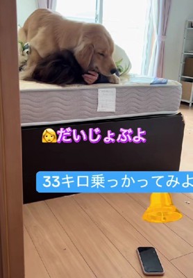 「大丈夫だから～」