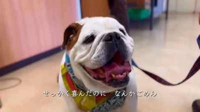 病院だったまめちゃん