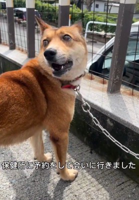 保健所に連絡をして再会