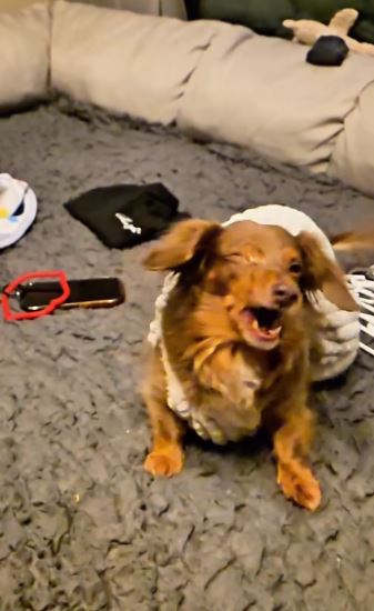 お顔でキャッチ!