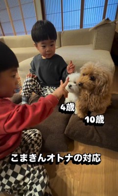 圧倒されながらも大人の対応