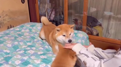 もう片方の手にもない