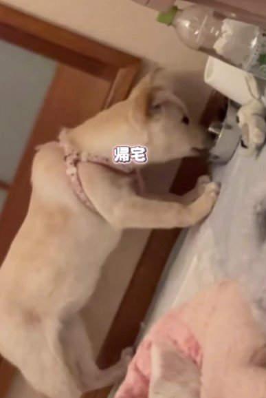 水をゴクゴク飲んで…