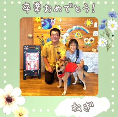 里親さんが決定!