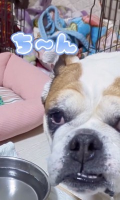 豪快に飲んじゃお