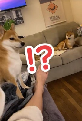 突然の大声にびっくり