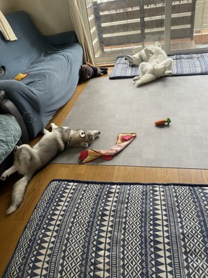 違いすぎる