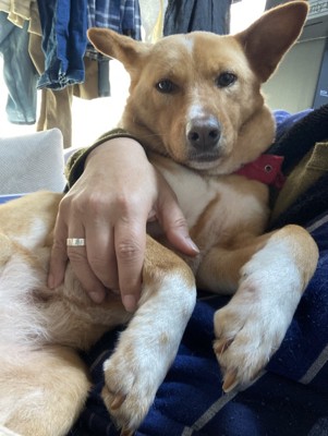 紗夢猫の投稿画像