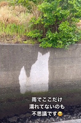 雨なのに濡れていないシルエット