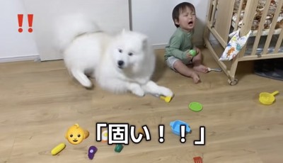 ザッ!!