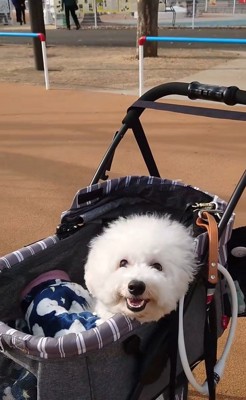 ミルクくんのナイスリアクション2