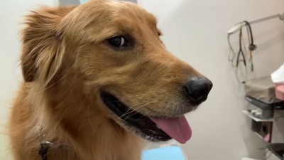 診察室でもご機嫌