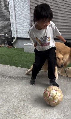 ボールを追いかける犬と人
