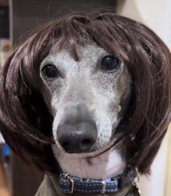 「サラダはあるかしら？」