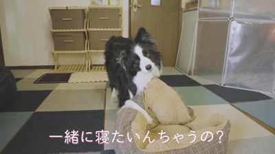 「一緒に寝たいの？」と聞いたら…