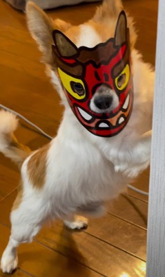 鬼のお面を被ったソラくん5