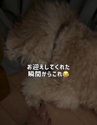 かまぼこちゃんに触れるママ