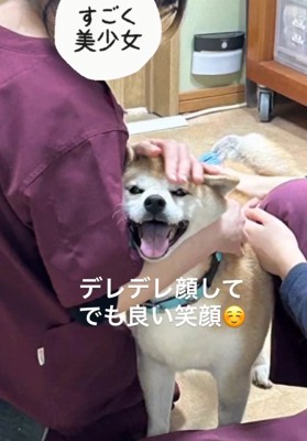 デレデレのまるちゃん