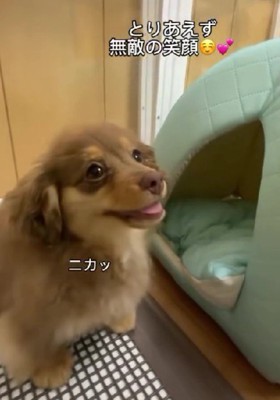愛嬌抜群な悠ちゃんでした！！