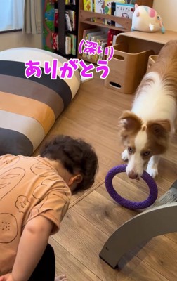 頭を下げている子供とおもちゃを咥えている犬