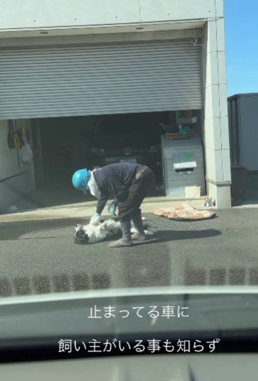 車の中にいたら…