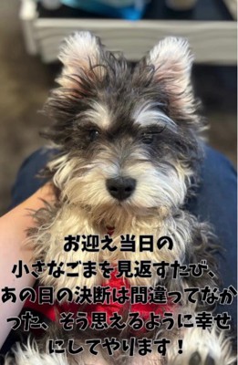 決断は間違ってなかった