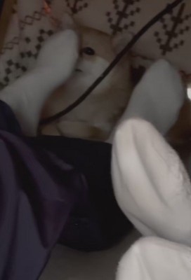 愛犬が足裏のニオイを嗅いでた!!