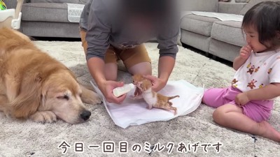 「大丈夫かな？」