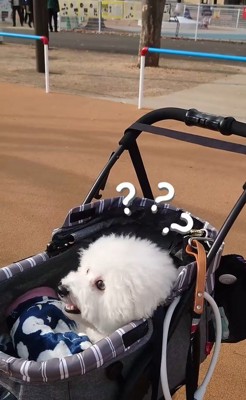 ミルクくんのナイスリアクション8