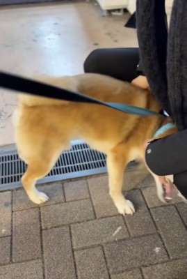 全力愛情表現！