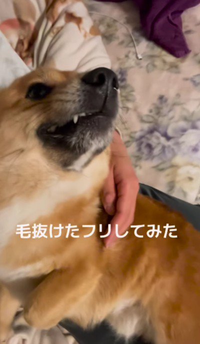 まさかのブチギレ