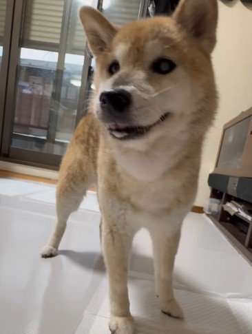 「なかなかのものでしょ?」