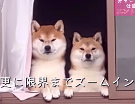 「ママ…まだ帰らないの？」