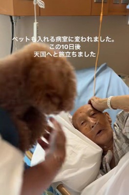 シェリーちゃんと再会