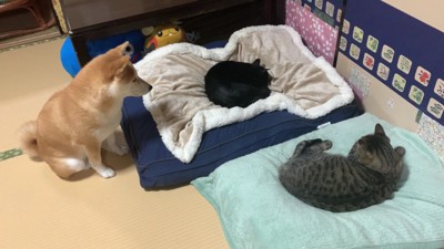 やっぱり気になる?