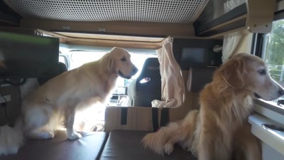 「ある人」に会いに行った