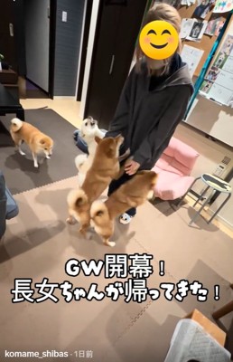 帰ってきたお姉ちゃん