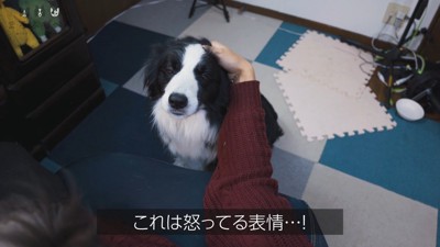 不満そうなお顔!