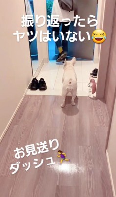 やまわきさんのお見送り4